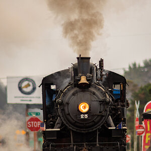 4P9A8742.jpg