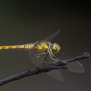 _AS_0836-Edit.jpg