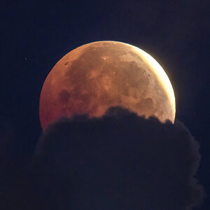 [mp] This Mornings Blood Moon.jpg