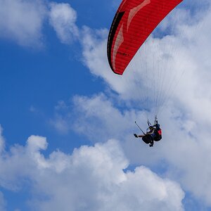 IMG_2124.jpeg