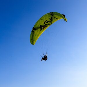 IMG_2260.jpeg