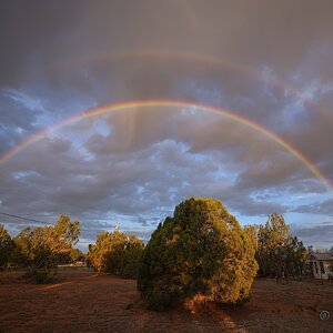 IMG_7405.jpeg