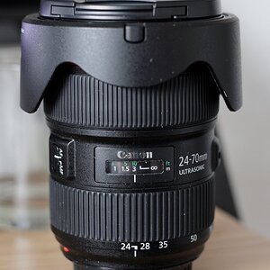 _D5A4195.JPG