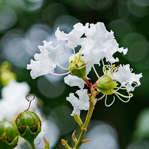 IMG_6607.jpeg