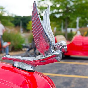 618A2055_DxO.jpg