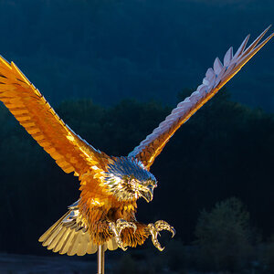 4P9A8989-Pano.jpg