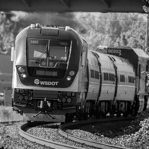 4P9A9160.jpg