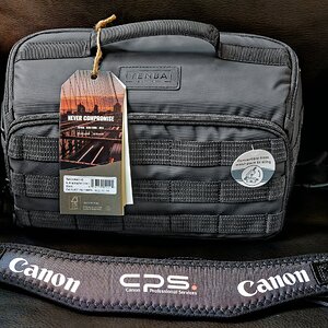 CPSP Gift.jpg