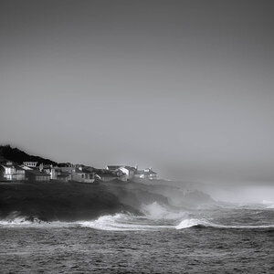 LE_20-3549.jpg