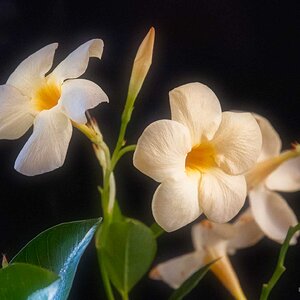 105A7022-2.jpg