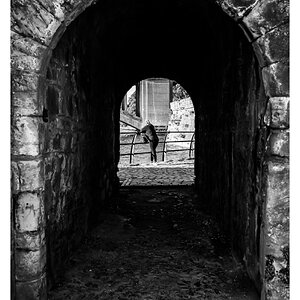 IMG_1523.jpeg