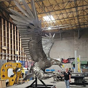 Kalama Eagle.jpg