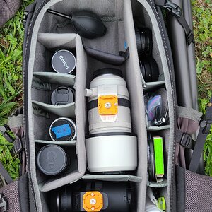 20261001_100406.jpg