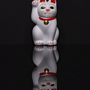 0M0A0956-Edit.jpg