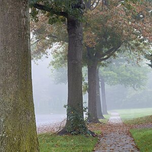 IntoTheFog2.jpg