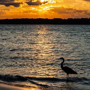 Calibogue Sound Sunset