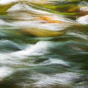 River in Motion.jpg