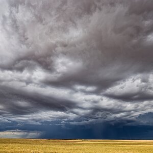 _H1_1796copeville.jpg