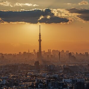 2G8A9153-2.jpg