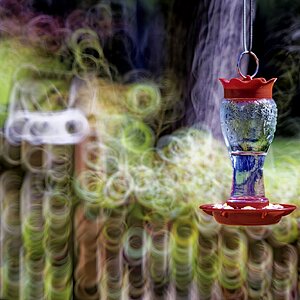 Feeder BBokeh.jpg