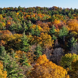 RFS-5775.jpg