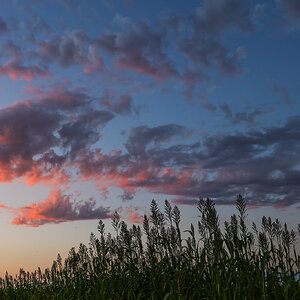 Evening sky over the farm
