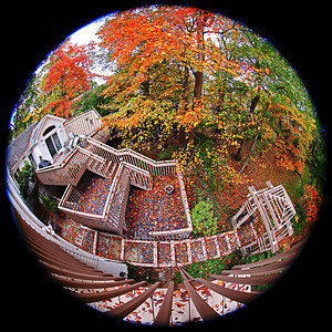Autumn View from our Deck.jpg