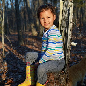 Forest Chair