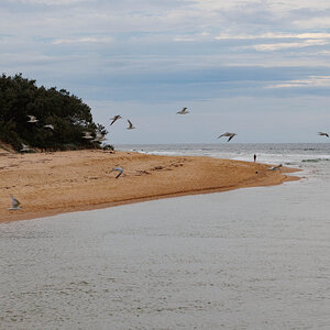 CURRIMMUNDI BEACH-16.jpg