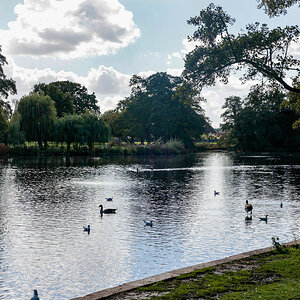 BOULTHAM PARK.jpg