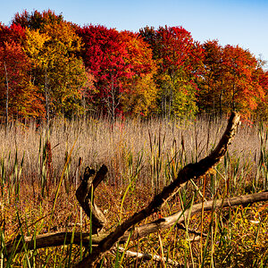 October 09, 2022_Tinkers Creek Fall_8707.jpg