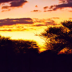 African sunset-2.jpg