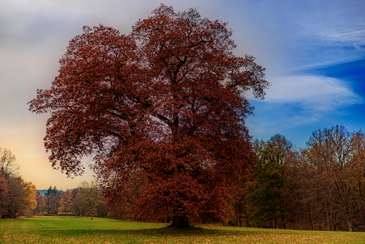 025b2 2025-11-08 Orlík.jpeg