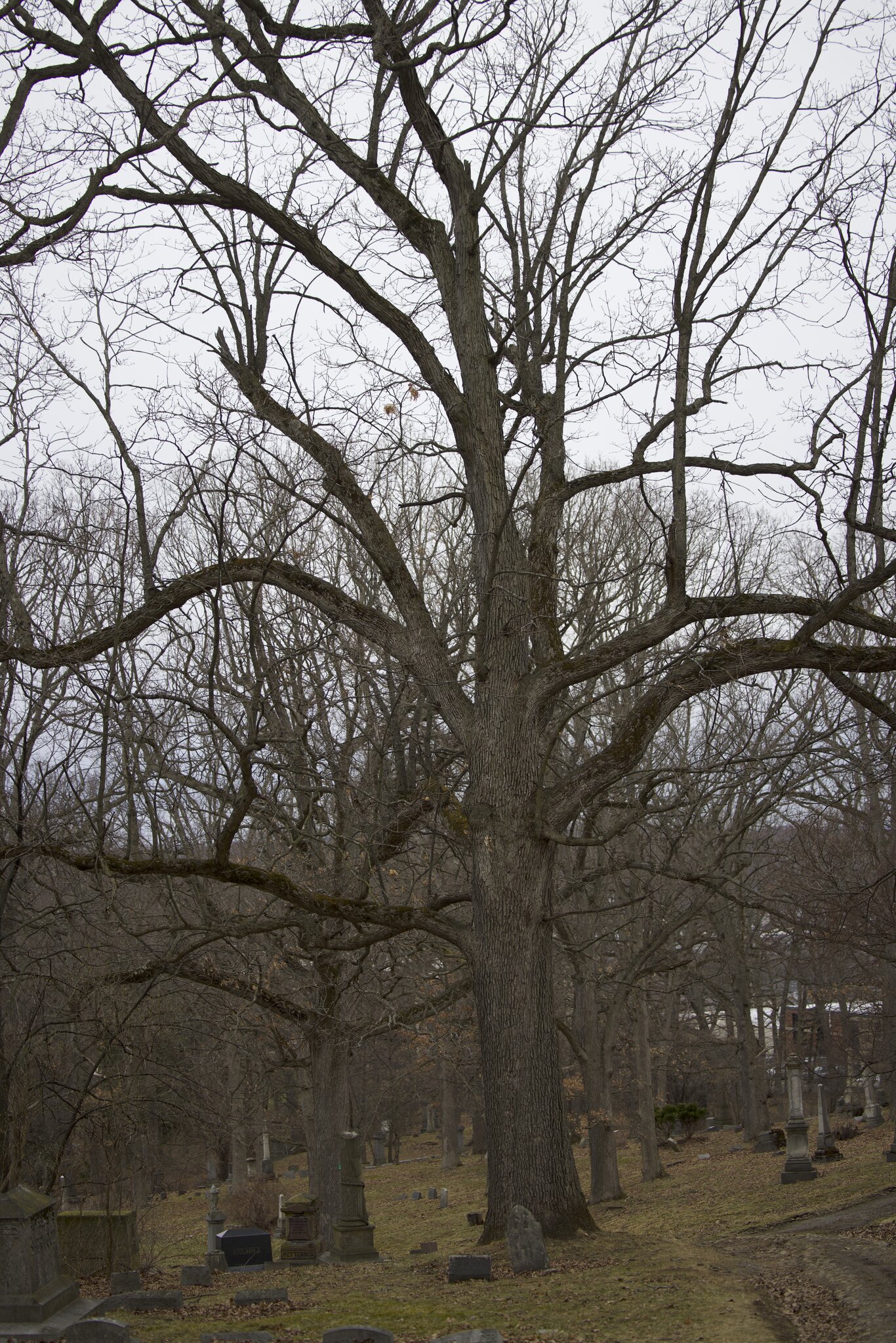 031A7515 9.20.40 AM.jpeg