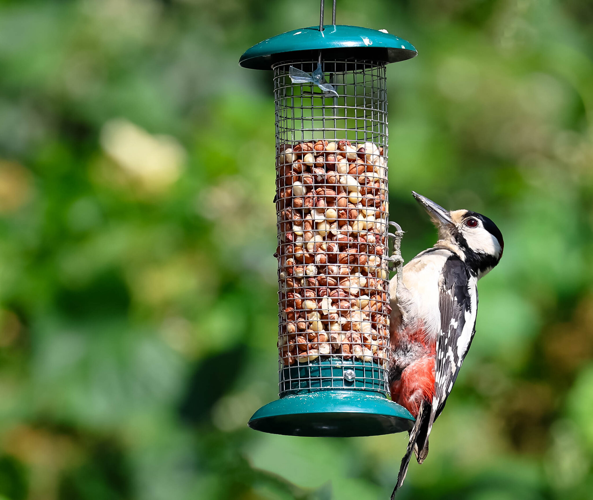 0W8A3934 copy12 copy.jpg