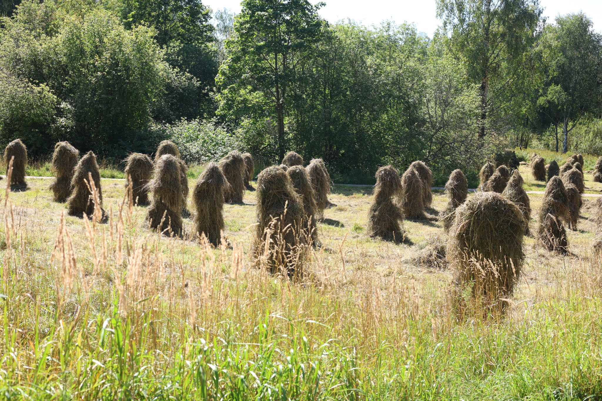 1000018405.jpg Haystacks