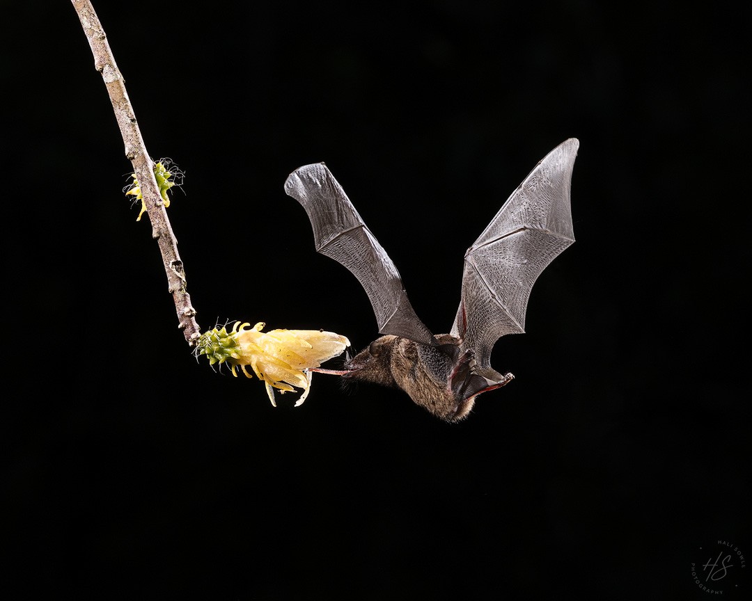 2022_06_25_CostaRica-12450-Edit1080.jpg