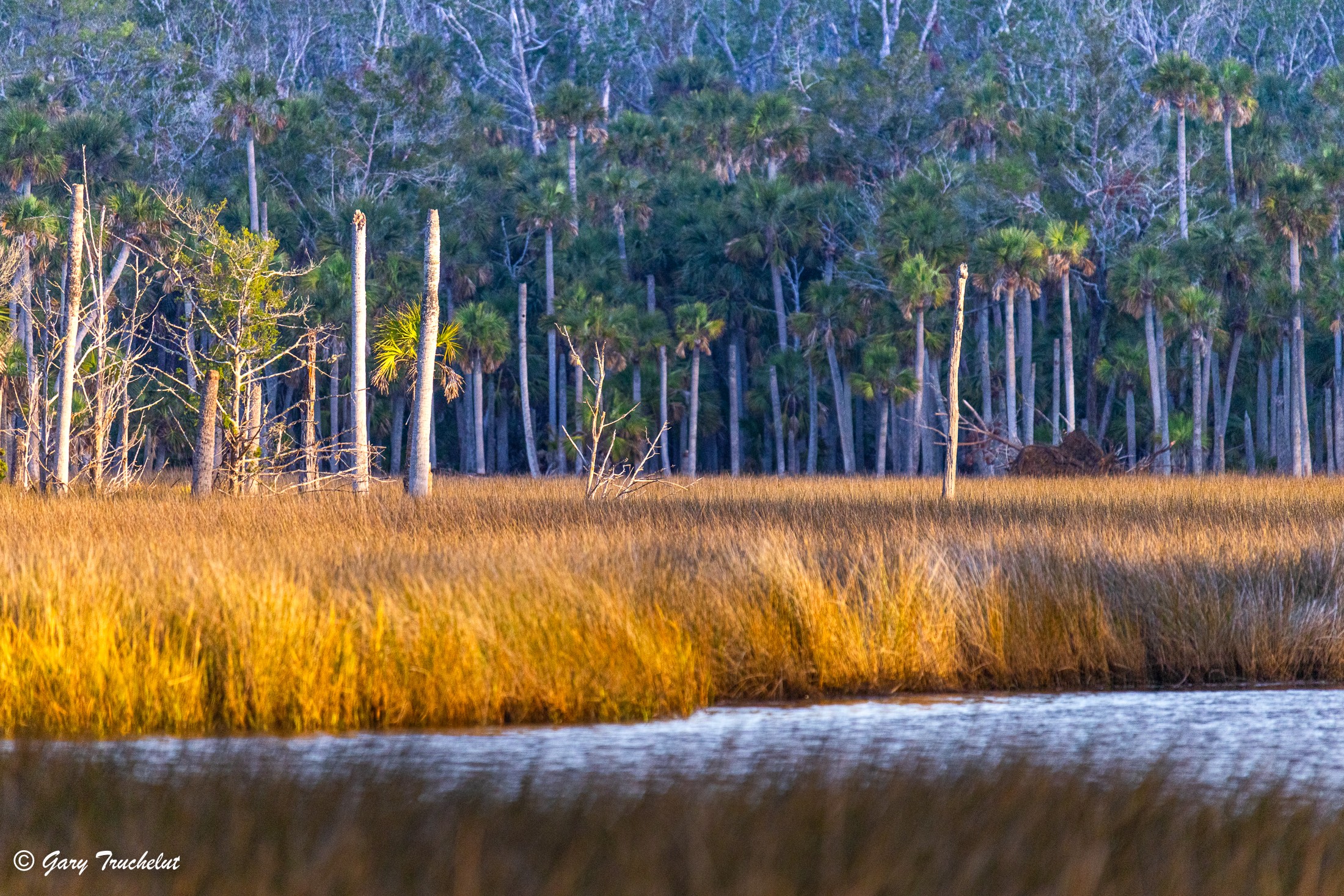 202311 Morning light over Dallus Creek, FL.