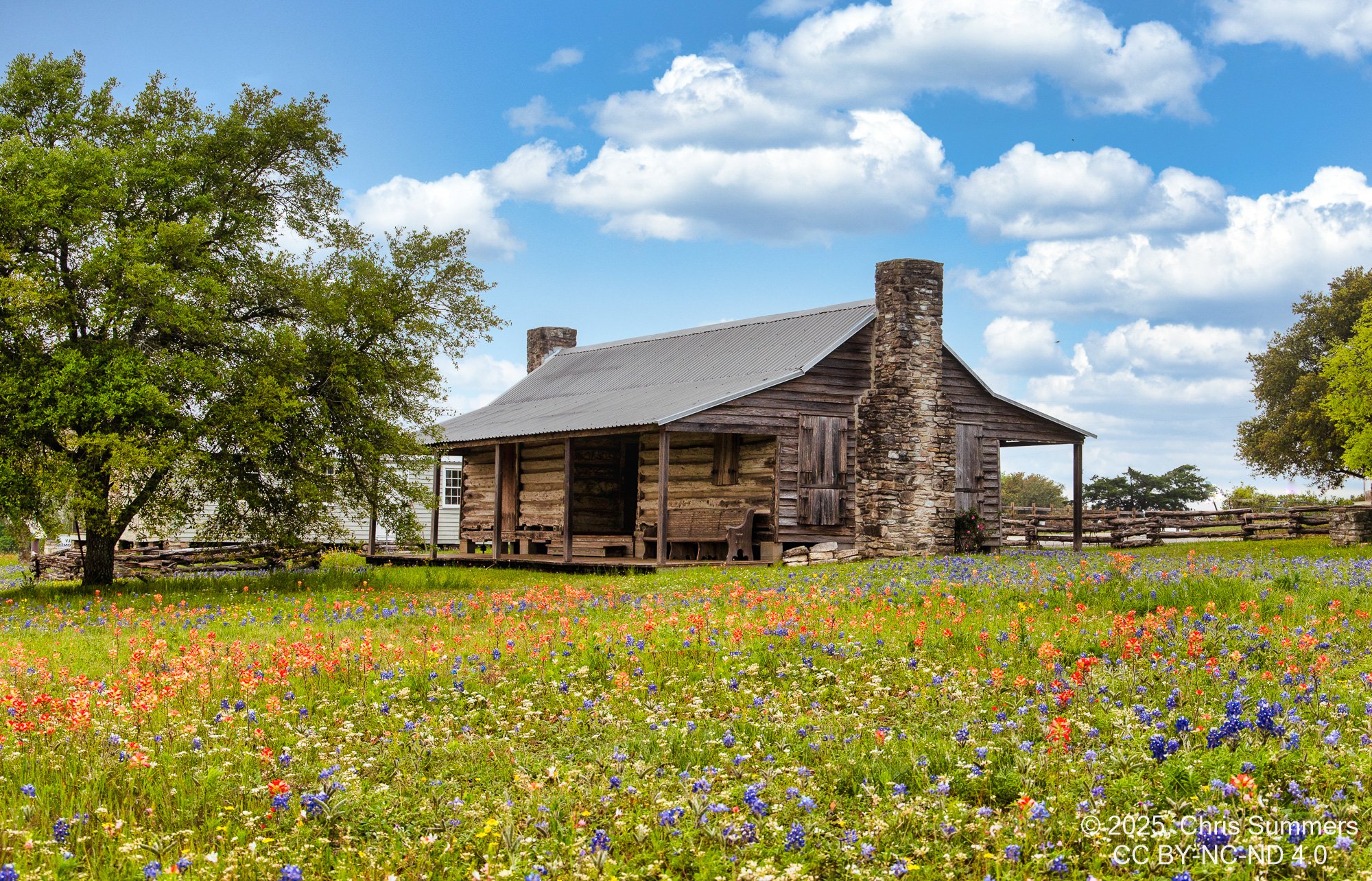 2024-023-014 TWPC wildflower trip.jpg