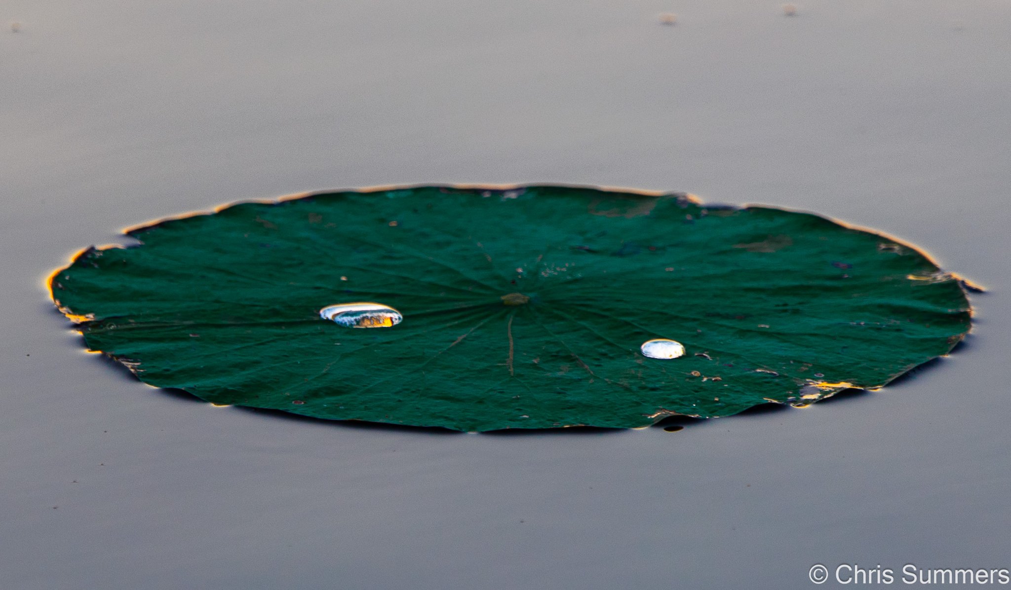 2024-067-124 Caddo Lake trip.jpg