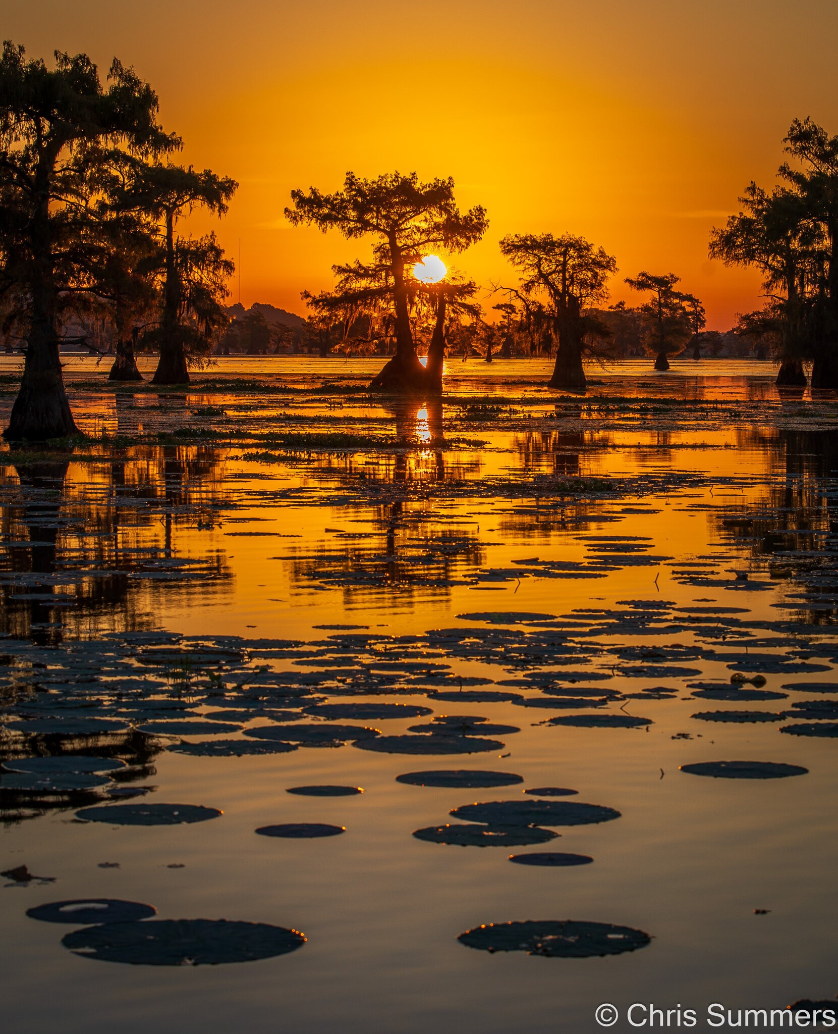 2024-067-159 Caddo Lake trip.jpg