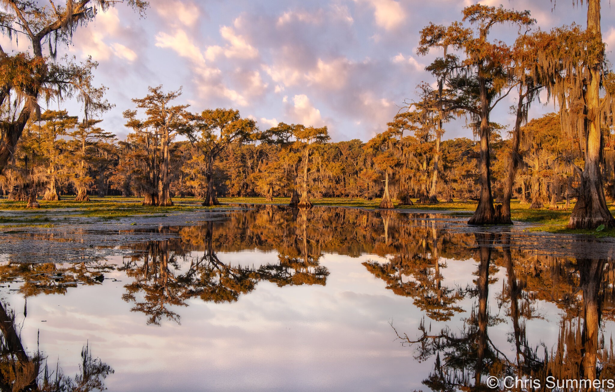 2024-067-245 Caddo Lake trip-Edit (1).jpg