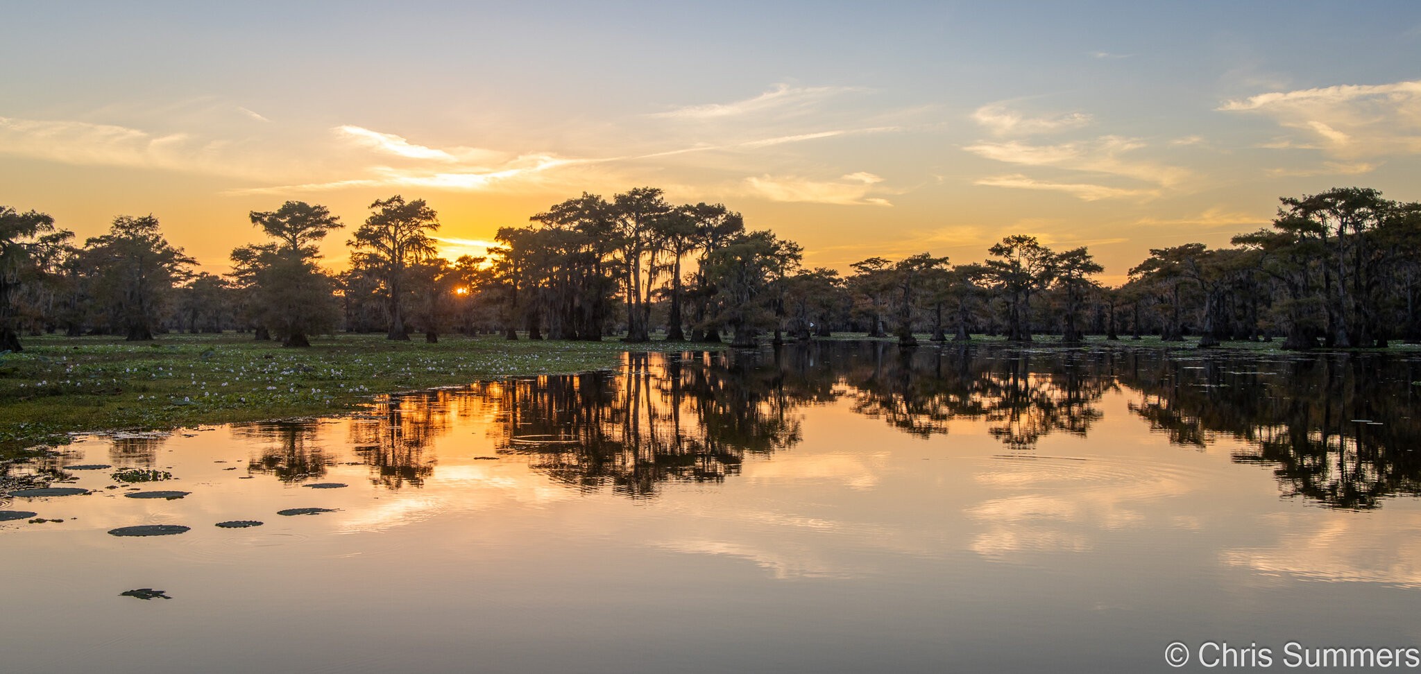 2024-067-729 Caddo Lake trip.jpg