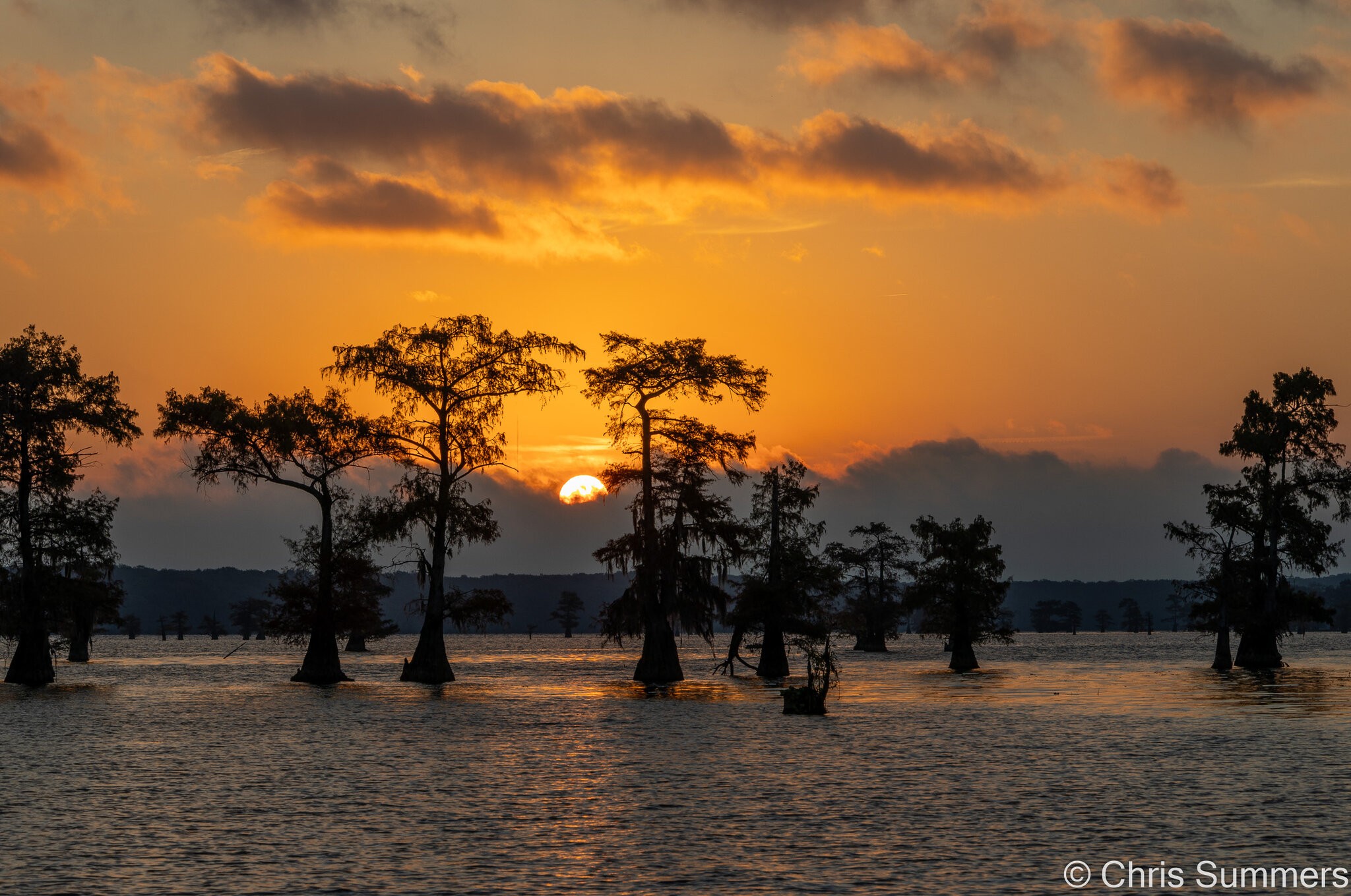 2024-067-915 Caddo Lake trip.jpg