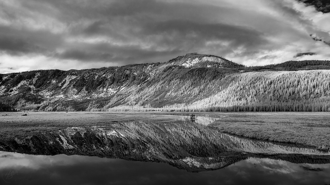 2024_05_09_Yellowstone-10116-CR3-Edit1080.jpg