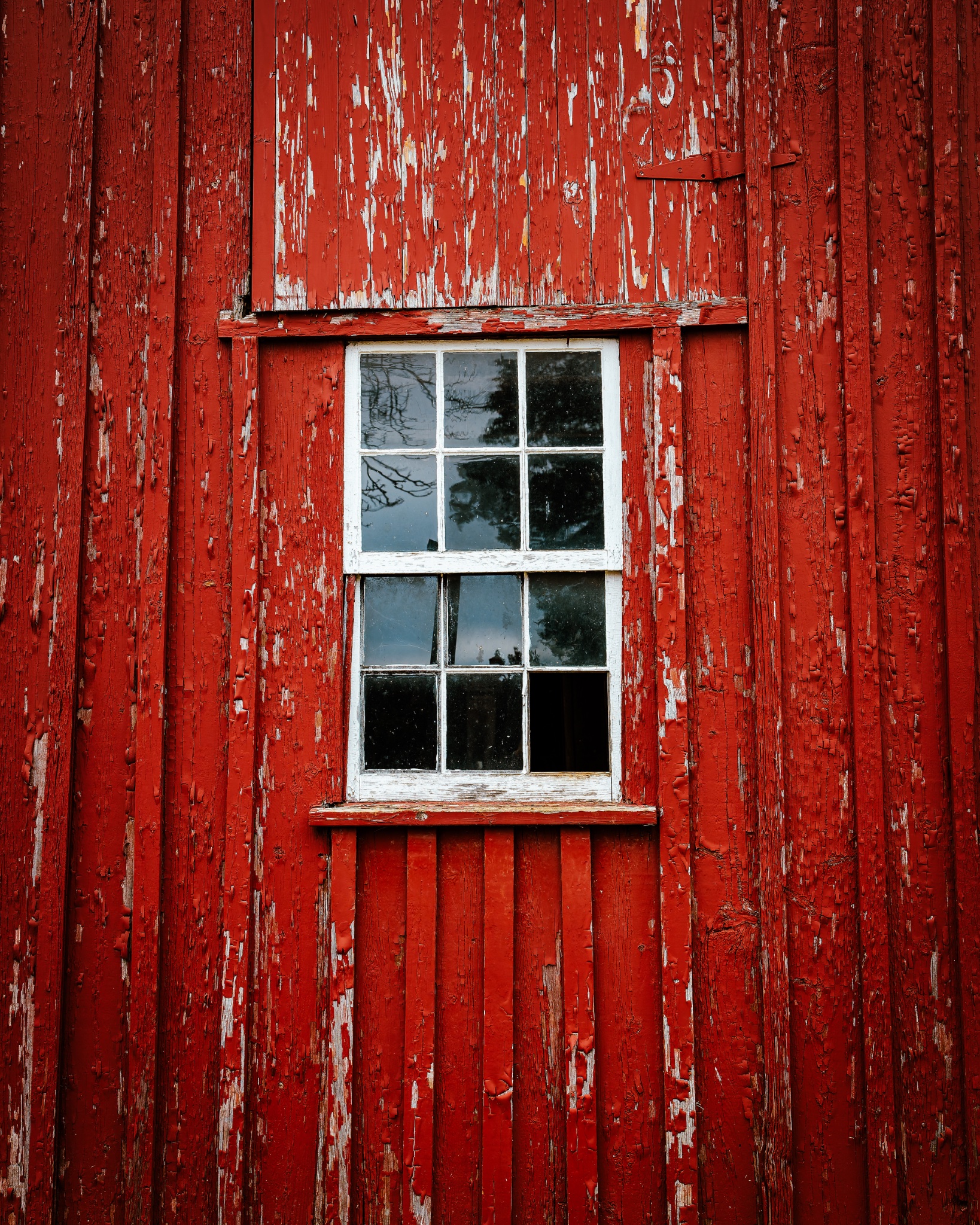 2024_November_Middleburg_089-DxO_DeepPRIME XD2s_012_PROCESSED.jpeg ...