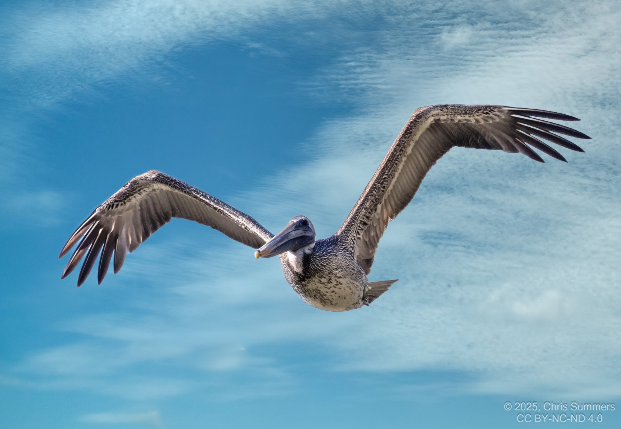 2025-005-051 River Grove Park-Edit sky.jpg