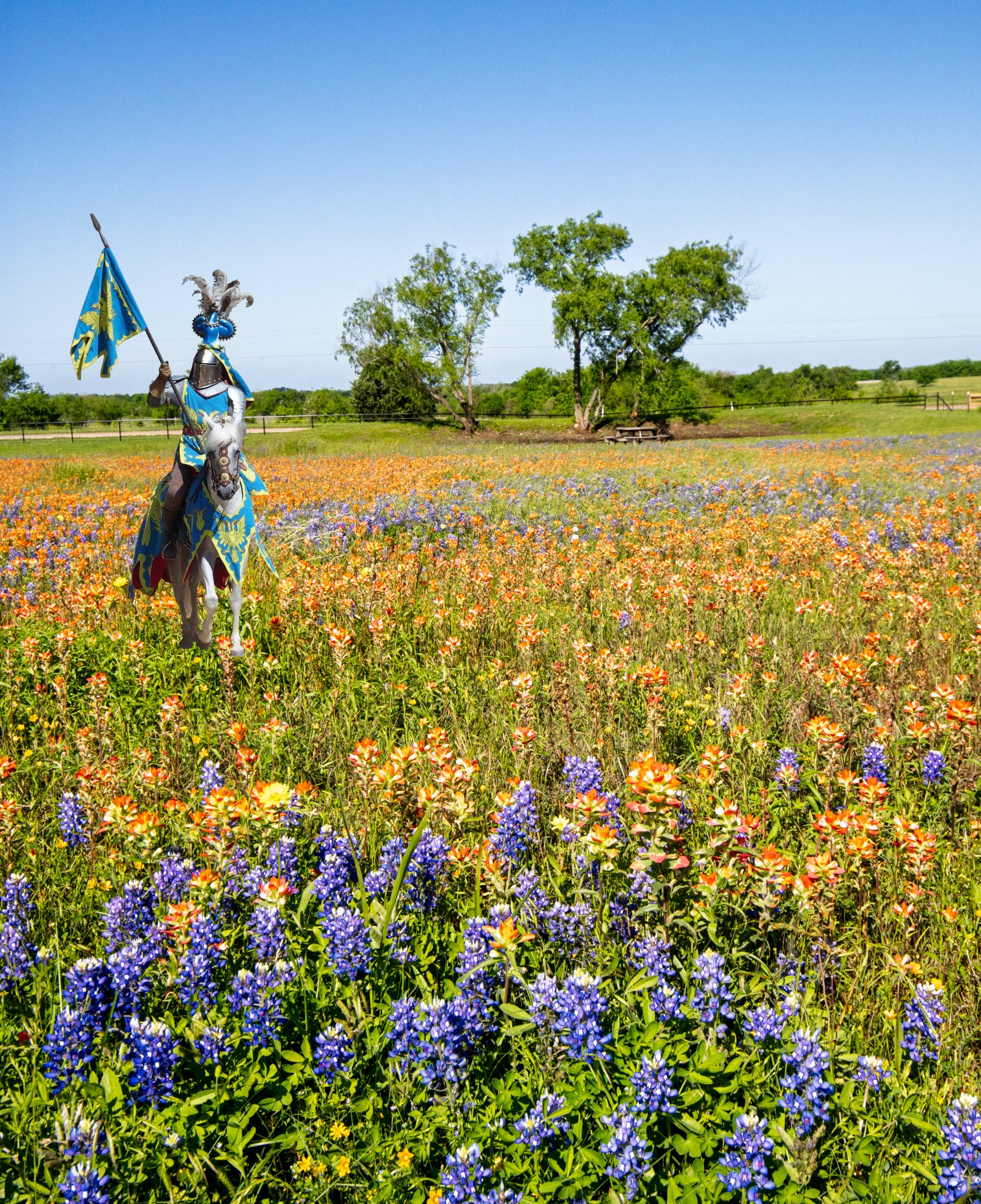 2025-020 145 Spring flowers-Edit.jpg