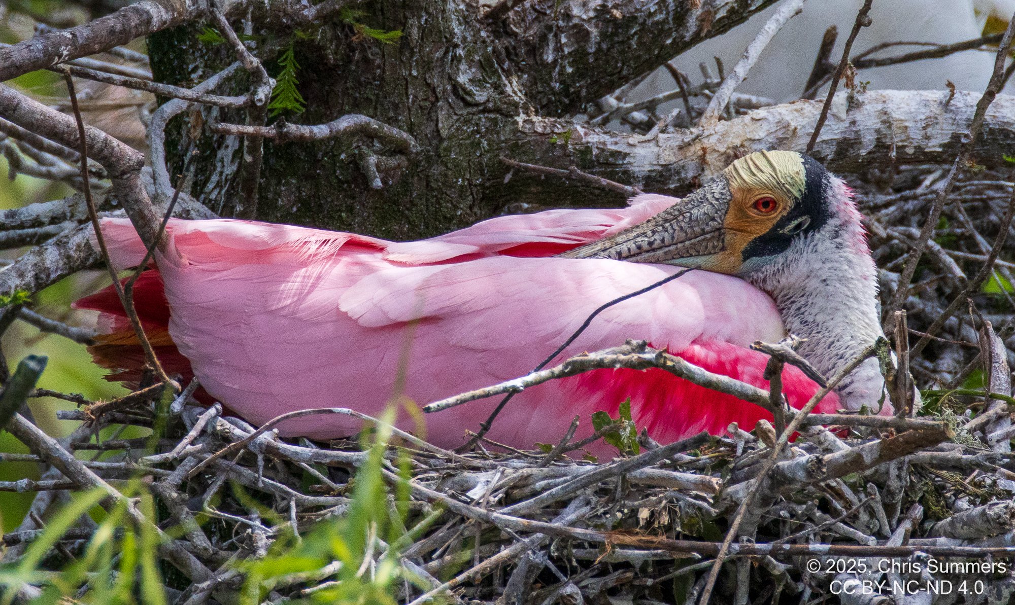 2025-023 085 Smith Oaks Refuge 2.jpg
