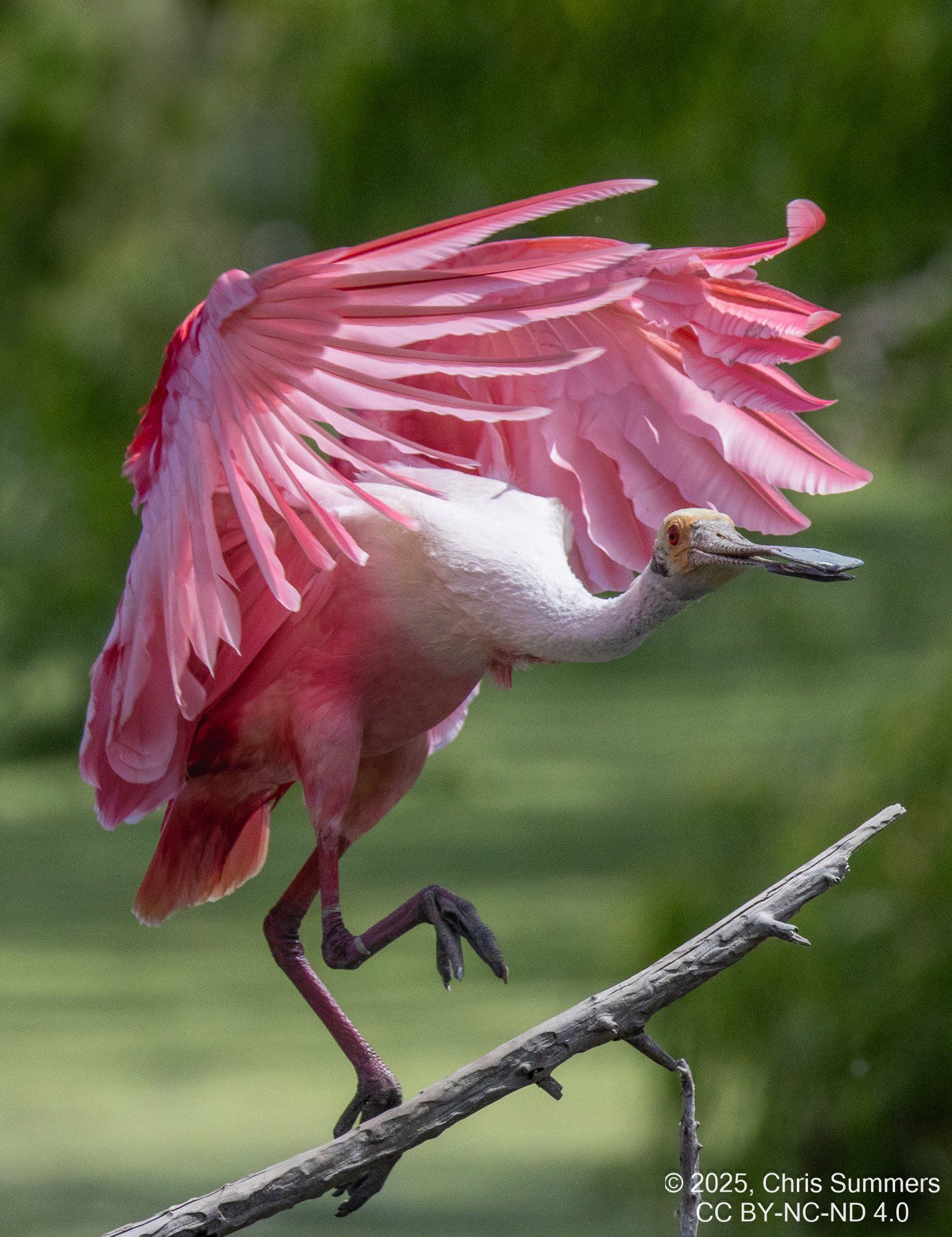 2025-023 101 Smith Oaks Refuge 2.jpg